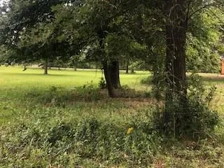 Counts Road Point Blank, TX 77364