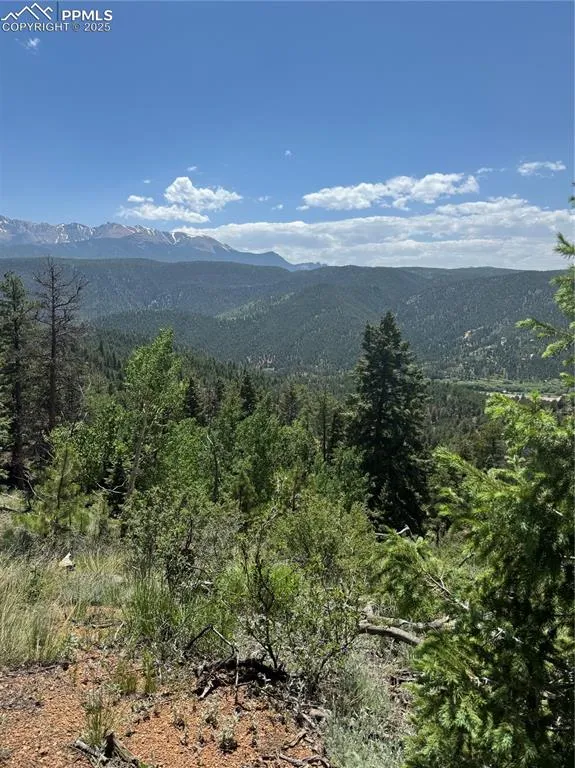 8743 High Mark Point Woodland Park, CO 80863