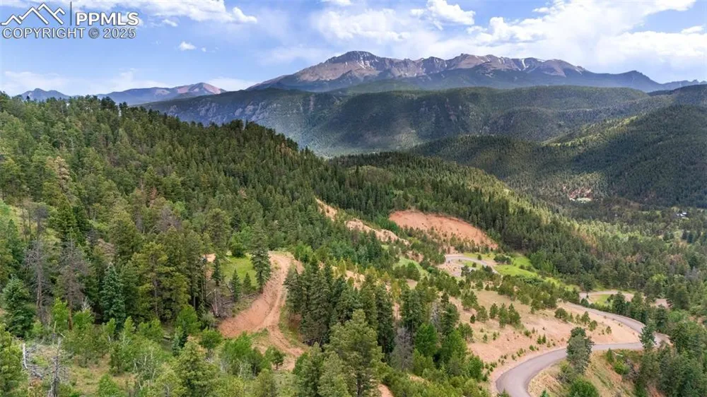 8743 High Mark Point Woodland Park, CO 80863