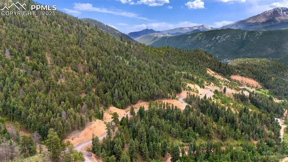 8743 High Mark Point Woodland Park, CO 80863