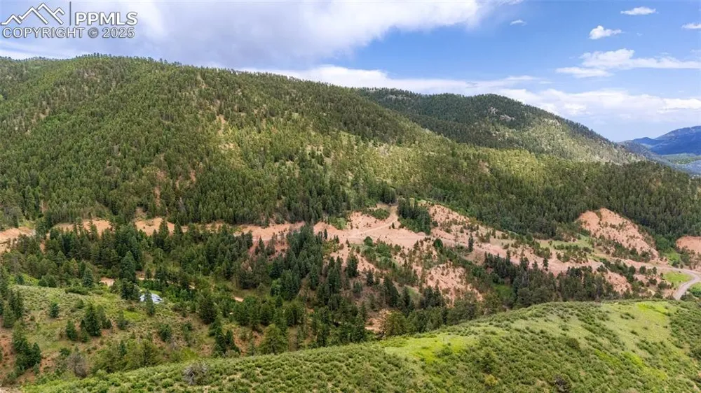 8743 High Mark Point Woodland Park, CO 80863
