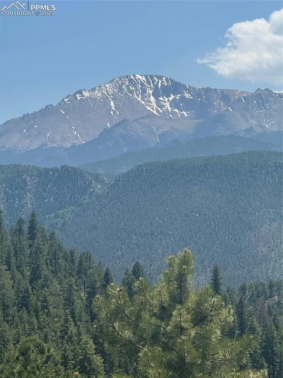 8743 High Mark Point Woodland Park, CO 80863