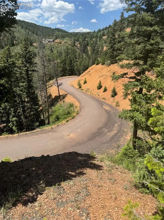 8743 High Mark Point Woodland Park, CO 80863