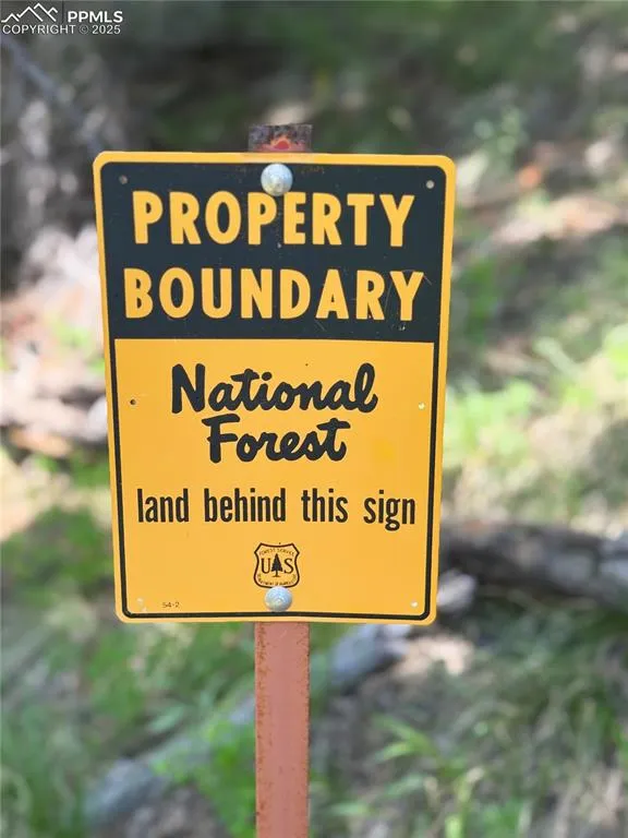 8743 High Mark Point Woodland Park, CO 80863