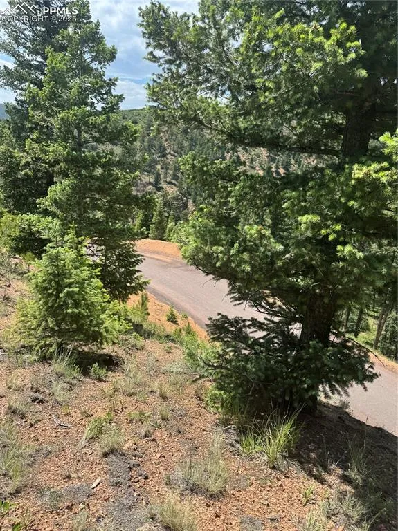 8743 High Mark Point Woodland Park, CO 80863