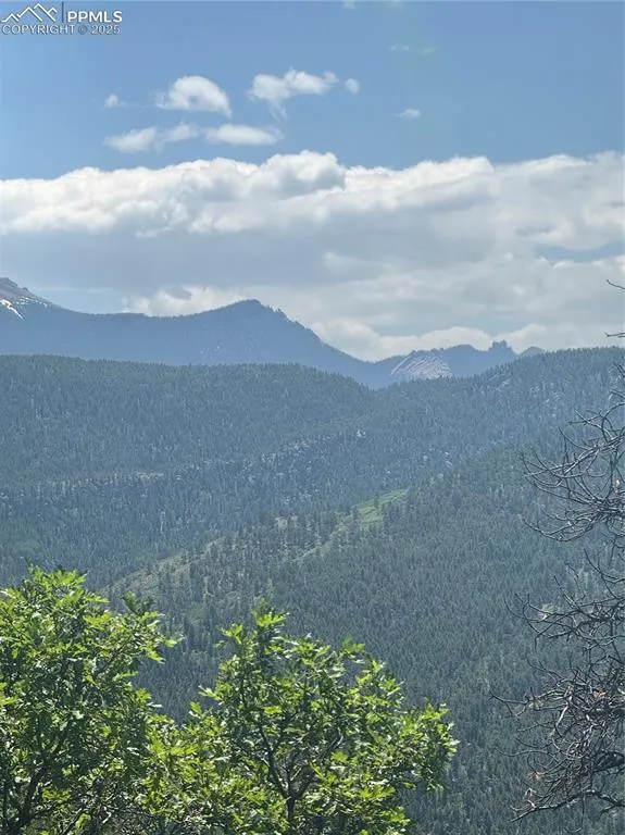 8743 High Mark Point Woodland Park, CO 80863