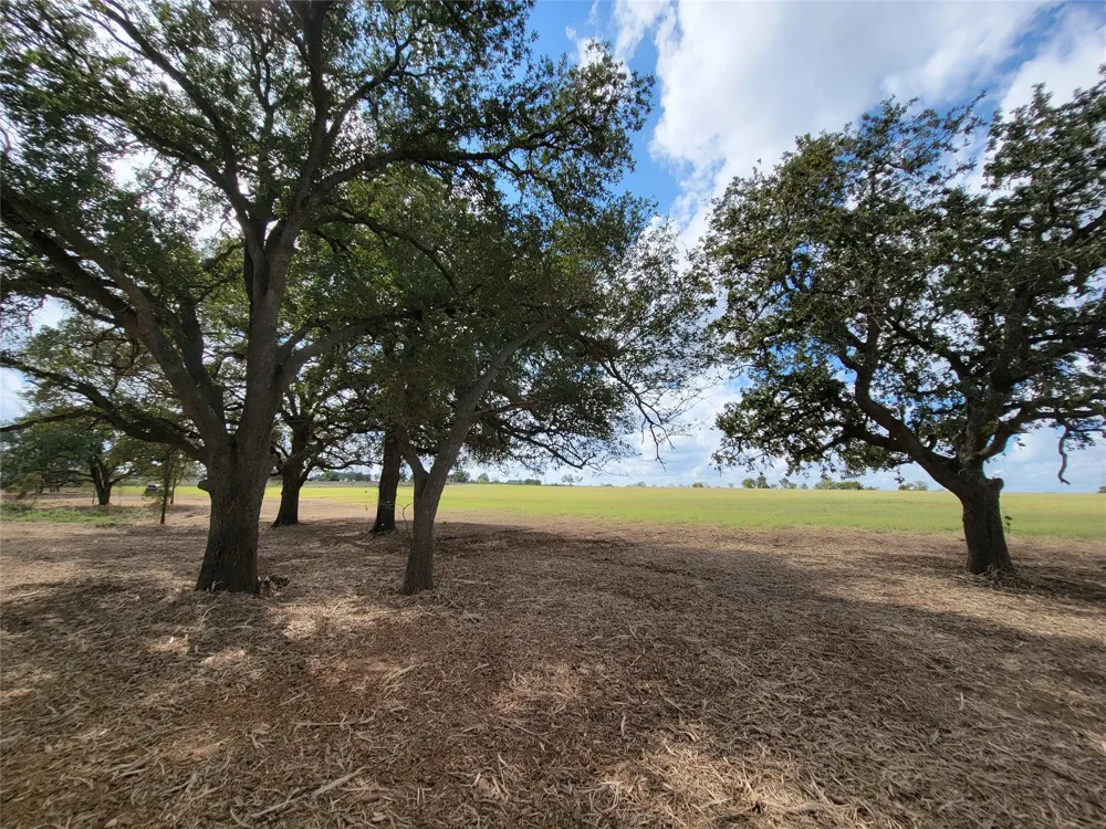 2 FM 713 Highway Lockhart, TX 78644
