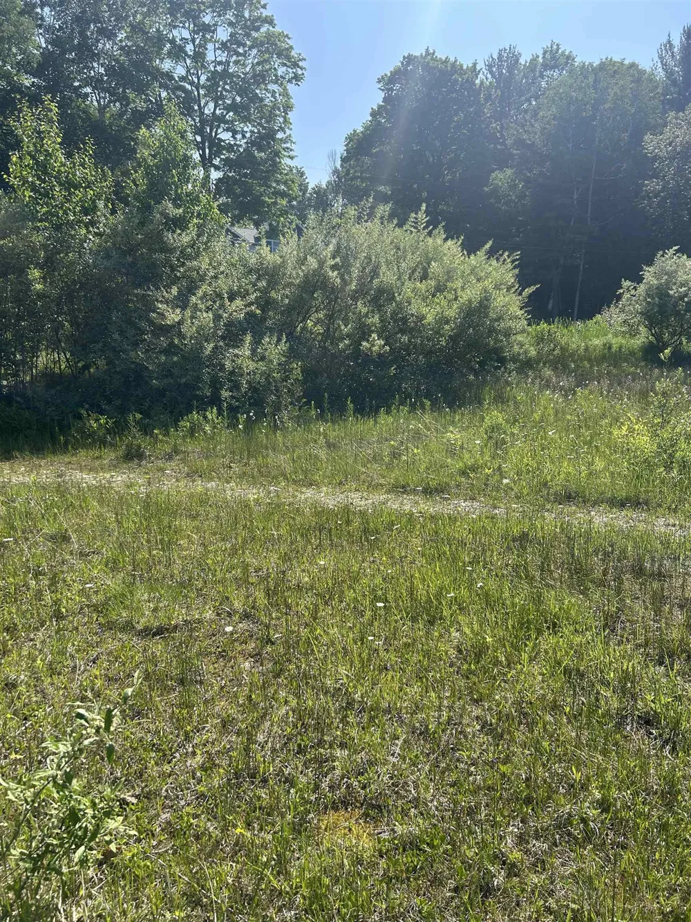 5543 Crystal Lane Benzonia Township, MI 49635