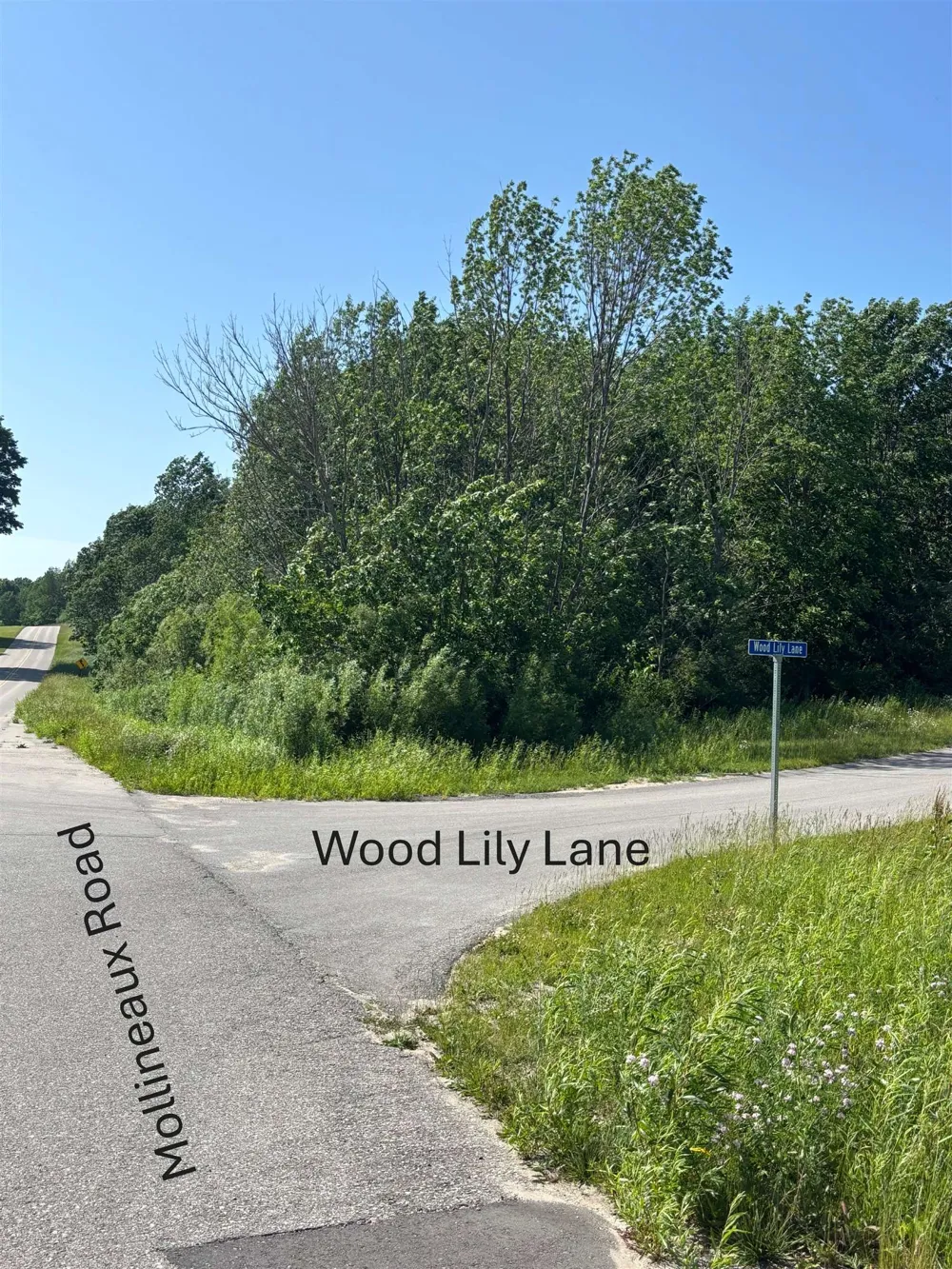 5543 Crystal Lane Benzonia Township, MI 49635