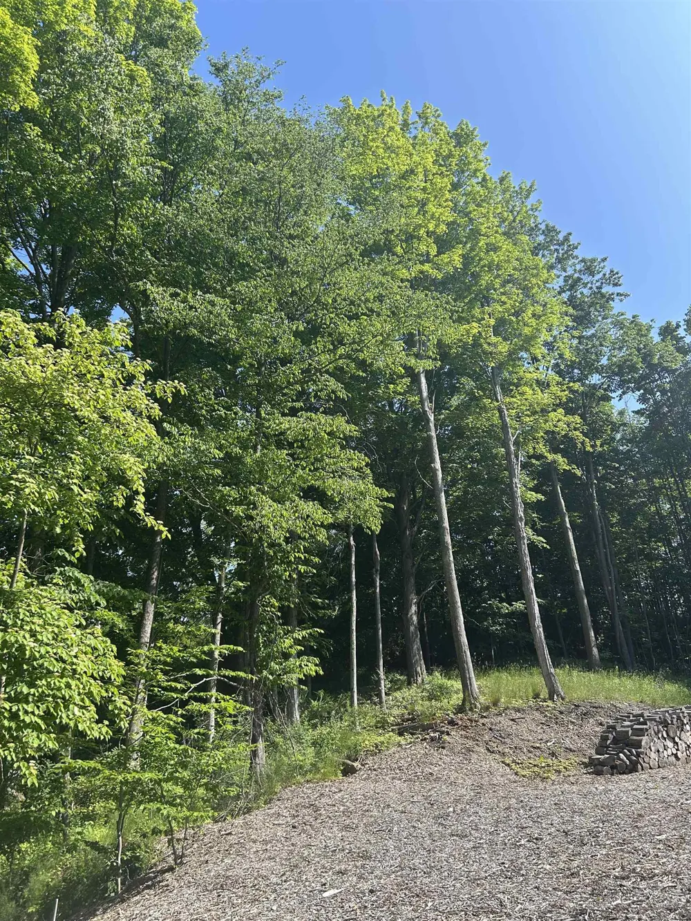5543 Crystal Lane Benzonia Township, MI 49635