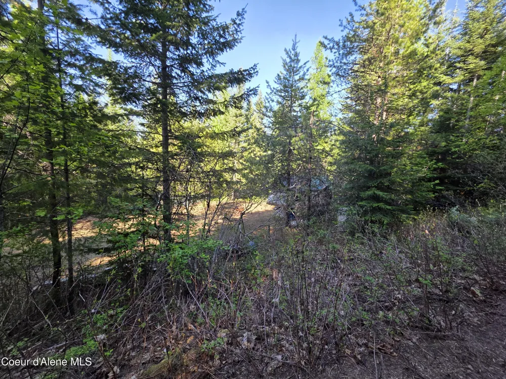 NKA LOOKOUT ROAD Newport, WA 99156