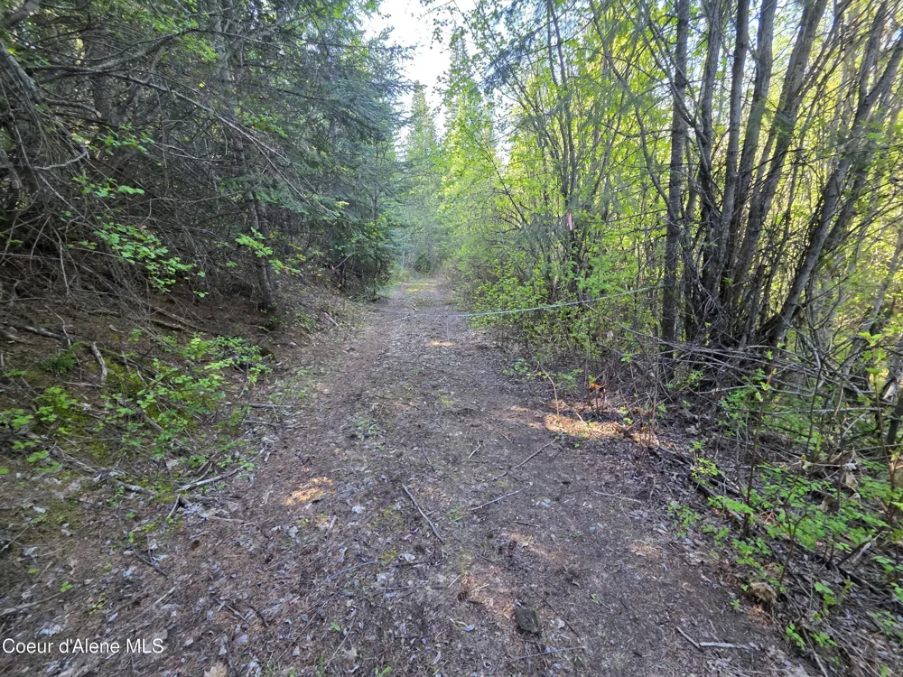 NKA LOOKOUT ROAD Newport, WA 99156