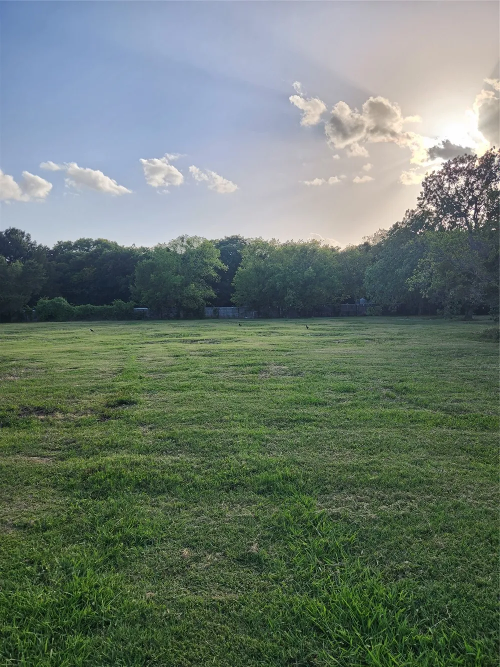 7913 Wayne Way Rowlett, TX 75088