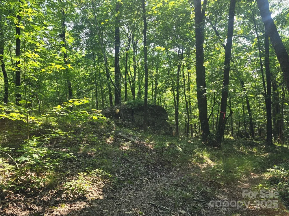 00 Hoke Road Heath Springs, SC 29058