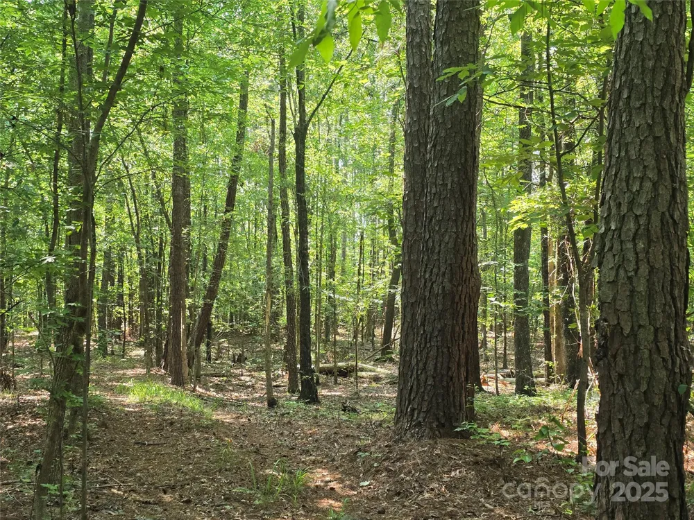 00 Hoke Road Heath Springs, SC 29058