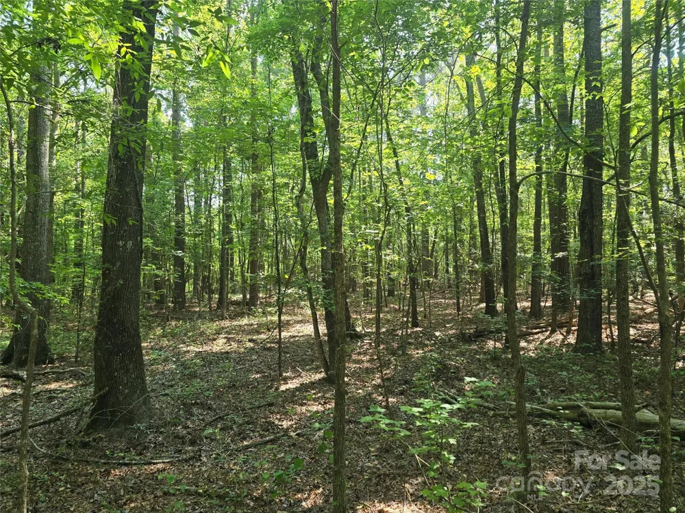 00 Hoke Road Heath Springs, SC 29058