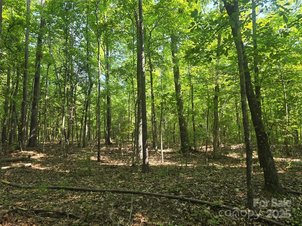 00 Hoke Road Heath Springs, SC 29058