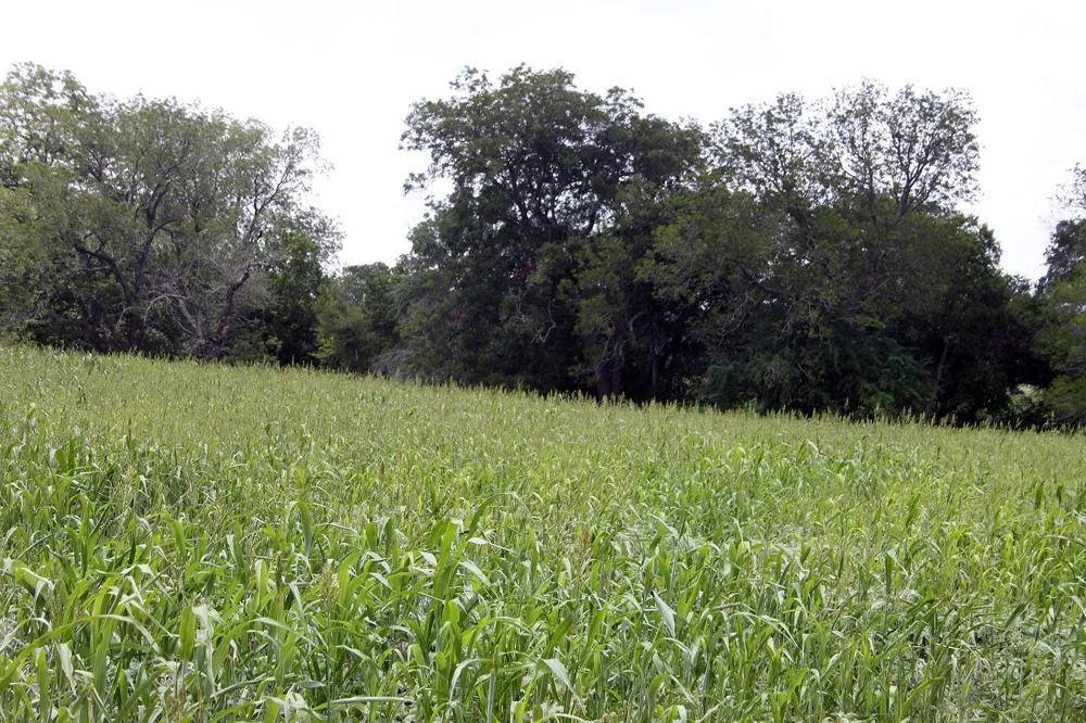 9411 FM 86 Highway Lockhart, TX 78644