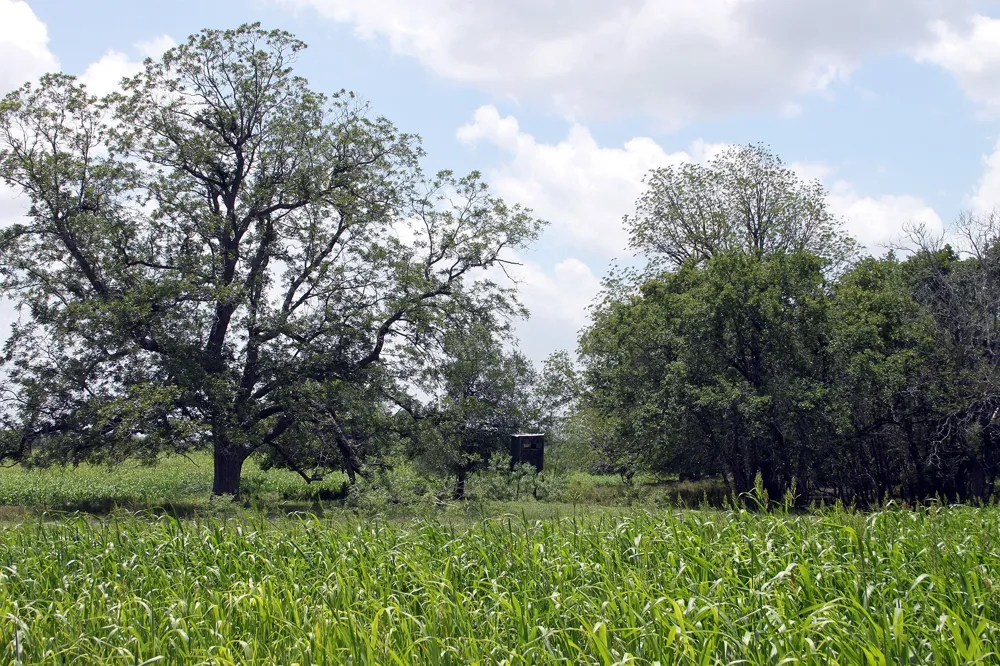 9411 FM 86 Highway Lockhart, TX 78644