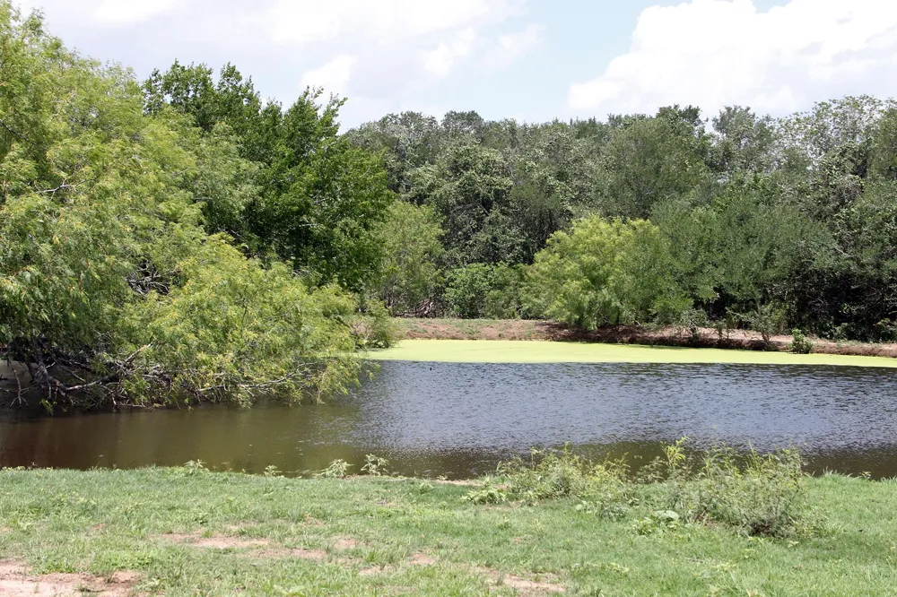9411 FM 86 Highway Lockhart, TX 78644
