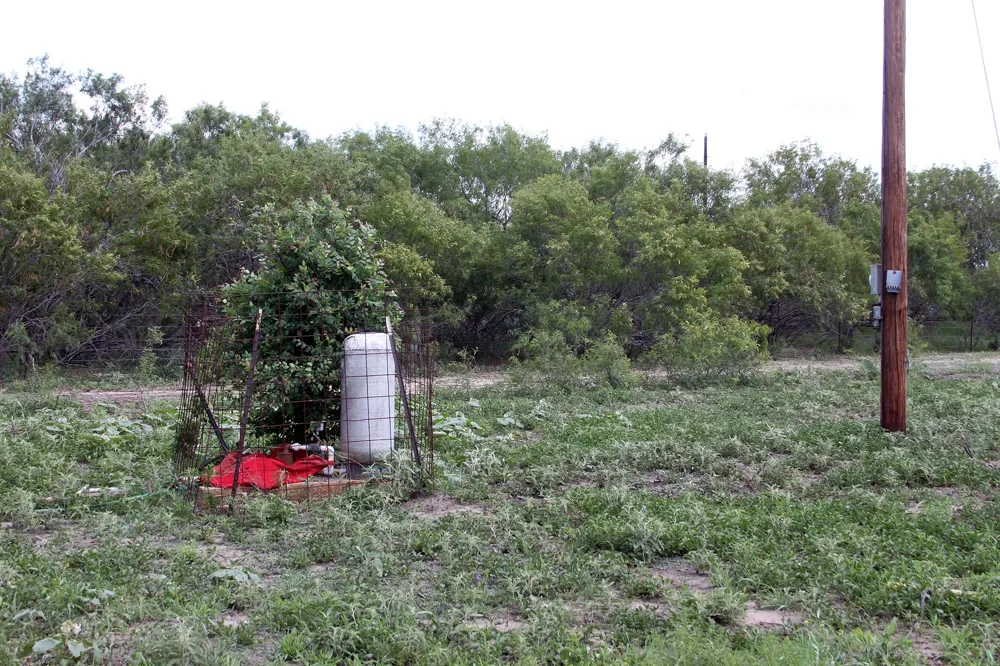 9411 FM 86 Highway Lockhart, TX 78644