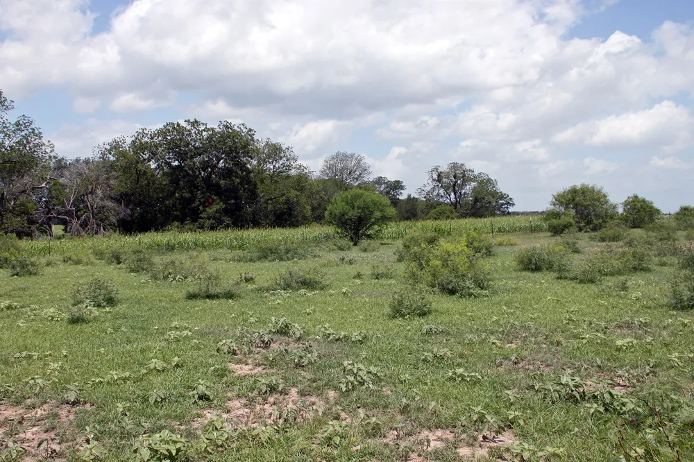 9411 FM 86 Highway Lockhart, TX 78644