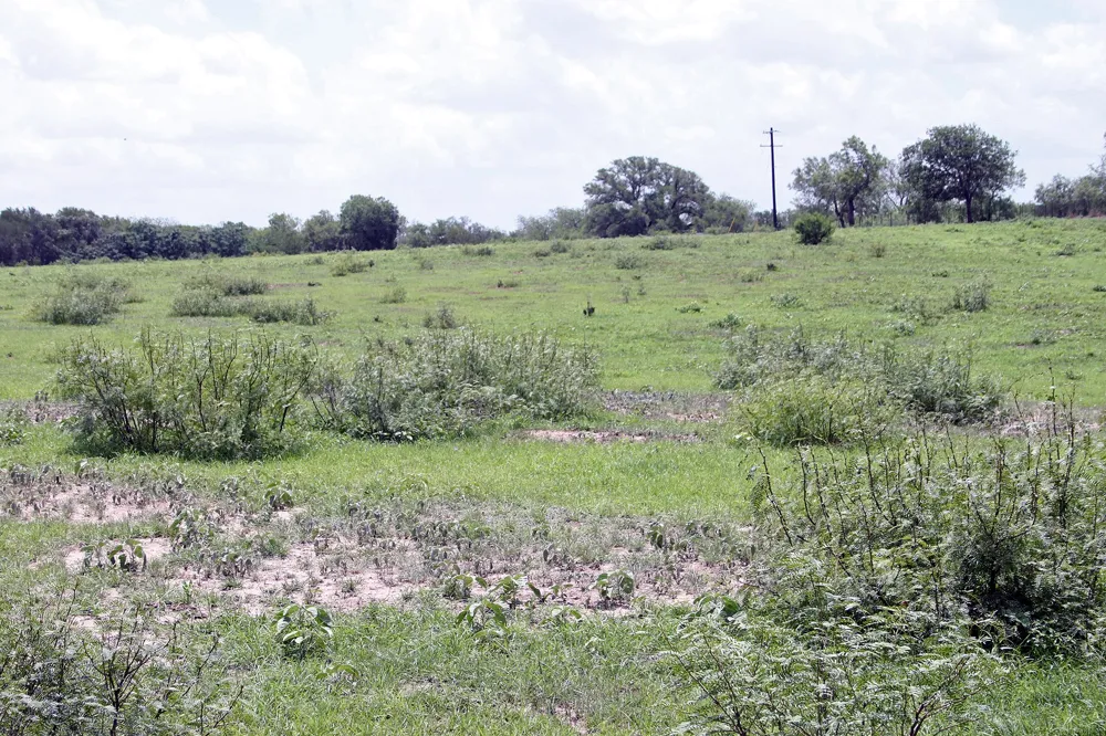 9411 FM 86 Highway Lockhart, TX 78644