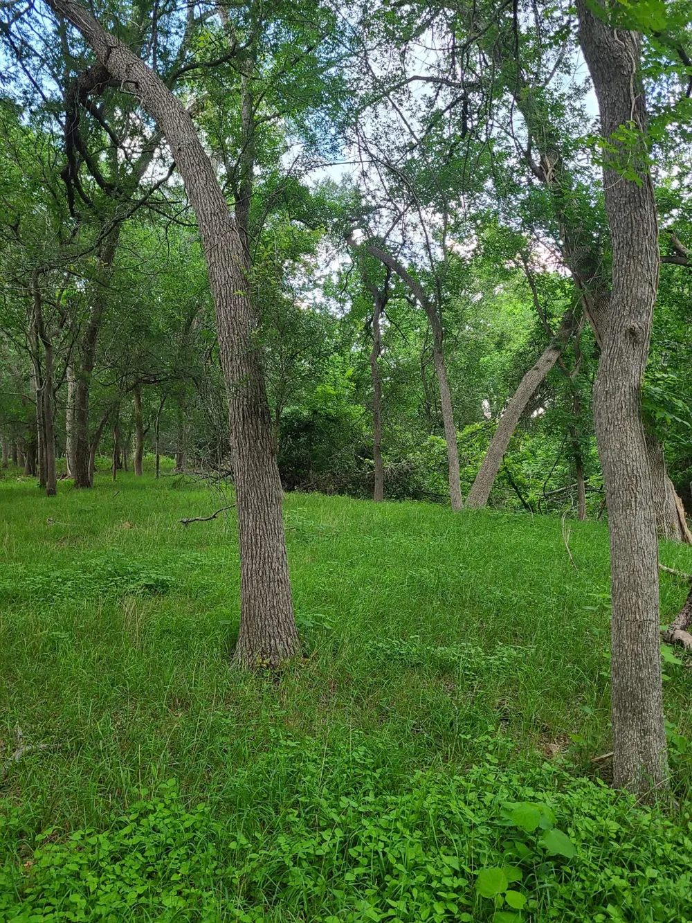 9411 FM 86 Highway Lockhart, TX 78644