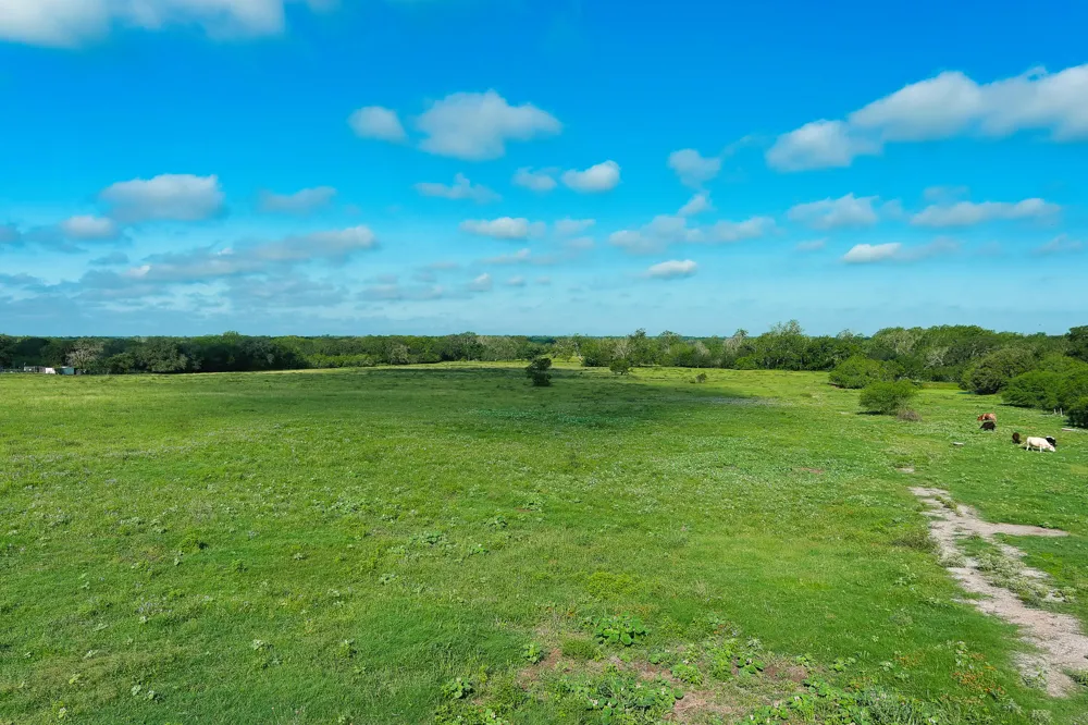 9411 FM 86 Highway Lockhart, TX 78644