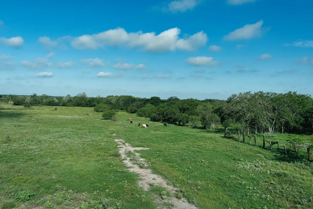 9411 FM 86 Highway Lockhart, TX 78644