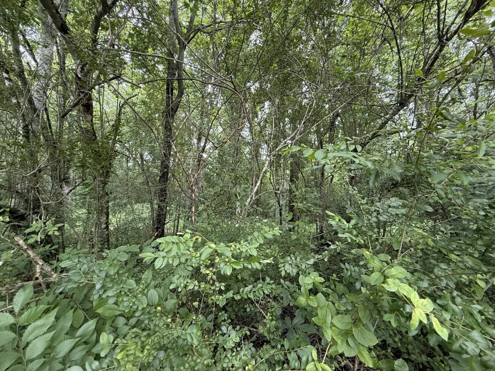 210 Edwin Smith Ln Gainesboro, TN 38562