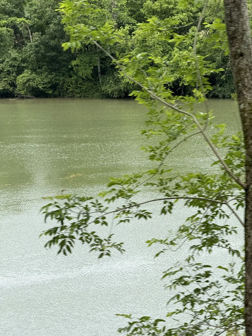210 Edwin Smith Ln Gainesboro, TN 38562