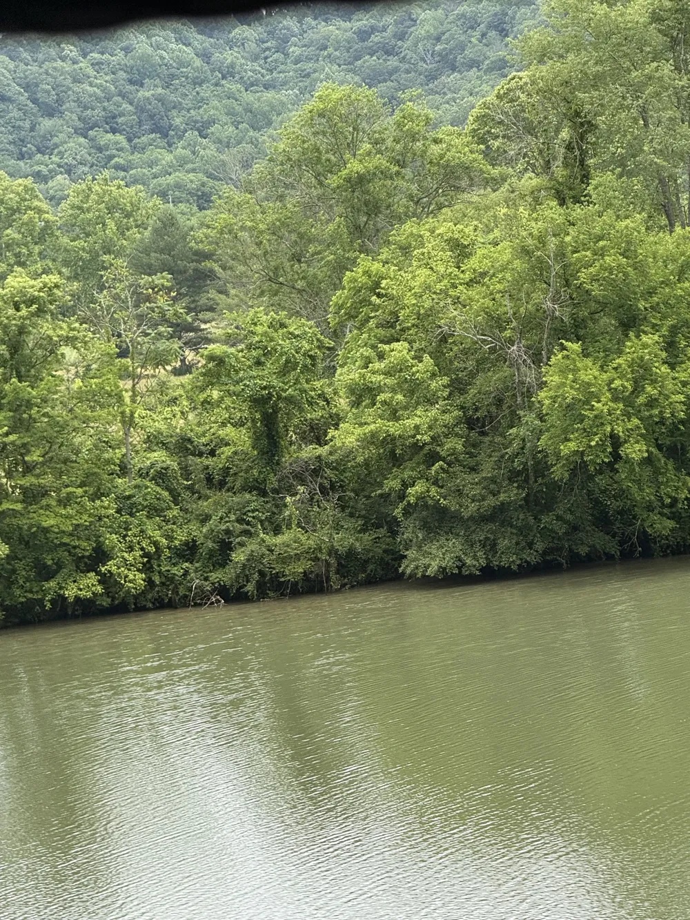 210 Edwin Smith Ln Gainesboro, TN 38562