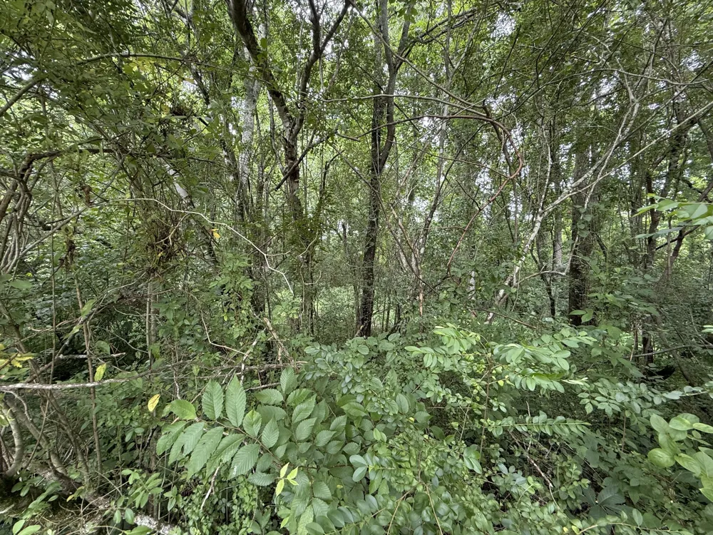 210 Edwin Smith Ln Gainesboro, TN 38562