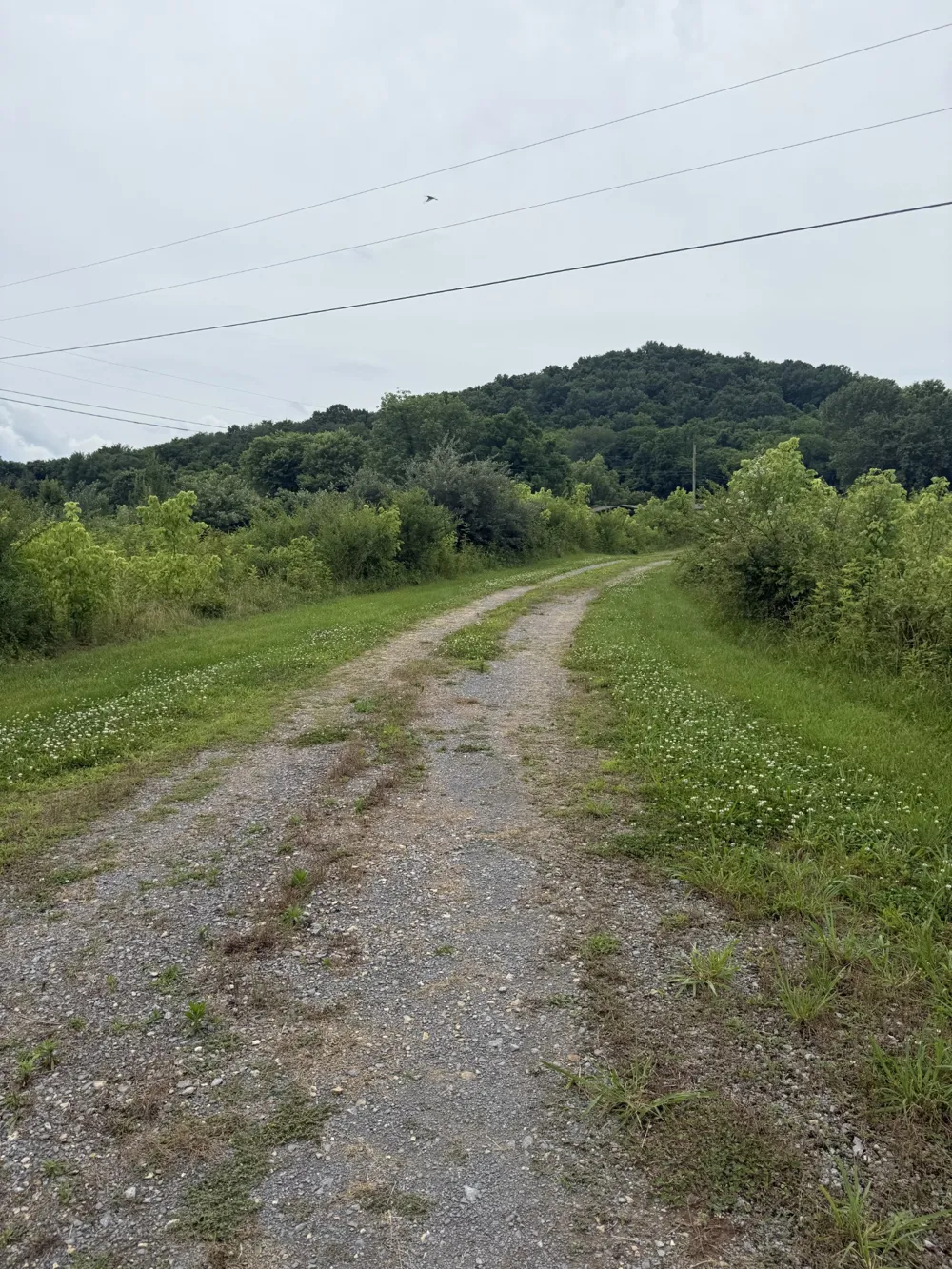 210 Edwin Smith Ln Gainesboro, TN 38562