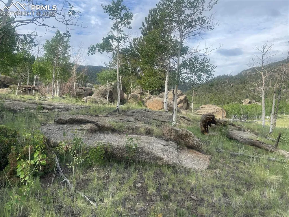 170 Emerald Way Lake George, CO 80827