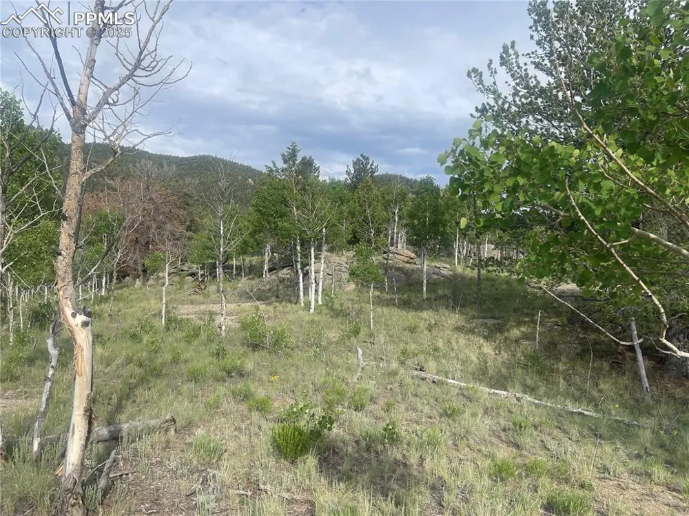 170 Emerald Way Lake George, CO 80827