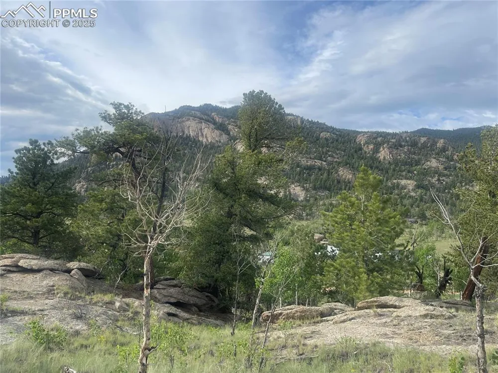 170 Emerald Way Lake George, CO 80827
