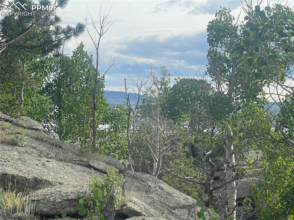 170 Emerald Way Lake George, CO 80827