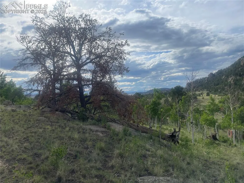 170 Emerald Way Lake George, CO 80827