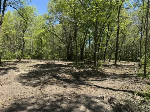Vacant Land Us Highway  41