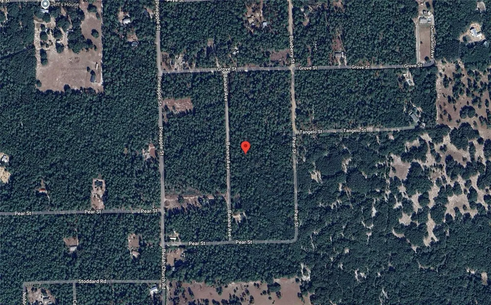 118 BANANA AVENUE Pomona Park, FL 32181