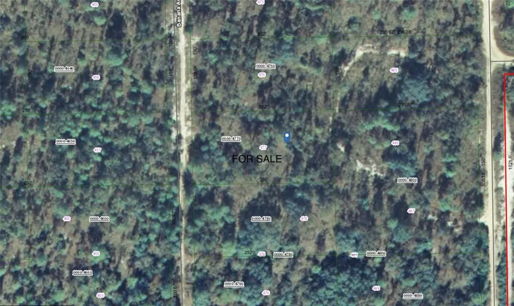 118 BANANA AVENUE Pomona Park, FL 32181