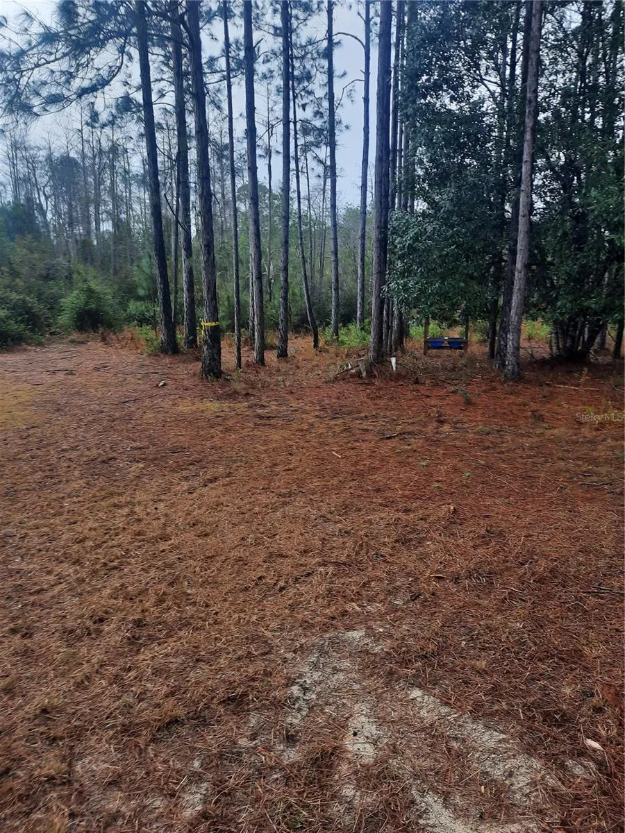 540 SW 326TH AVENUE Steinhatchee, FL 32359