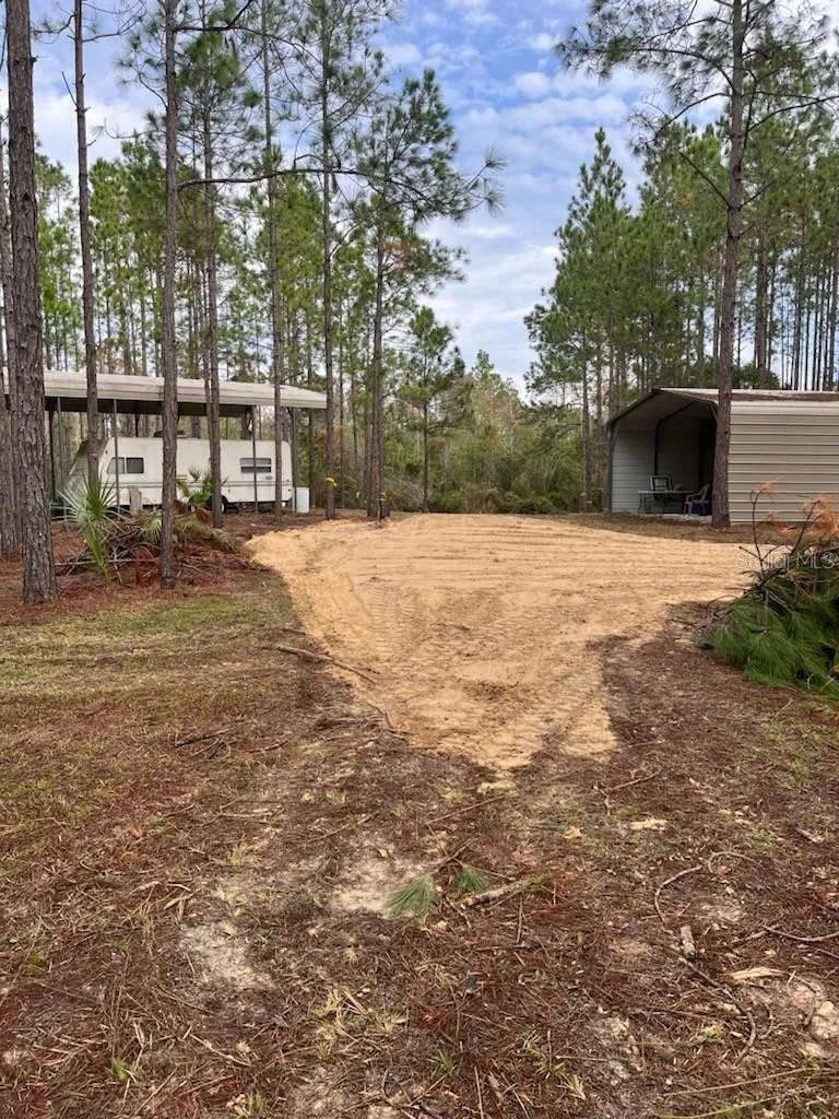 540 SW 326TH AVENUE Steinhatchee, FL 32359