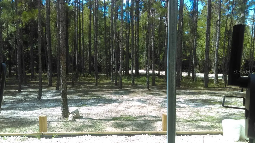 540 SW 326TH AVENUE Steinhatchee, FL 32359