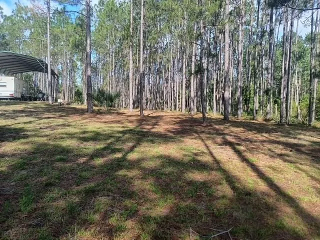 540 SW 326TH AVENUE Steinhatchee, FL 32359