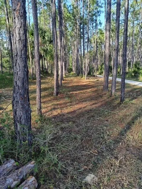 540 SW 326TH AVENUE Steinhatchee, FL 32359