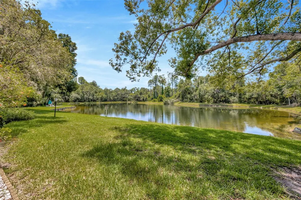 3134 LAKE PINE WAY #F2 Tarpon Springs, FL 34688