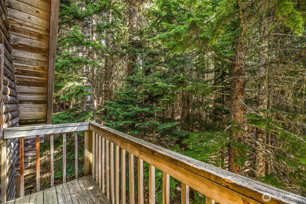 81 Snow Cabin Place Snoqualmie Pass, WA 98068